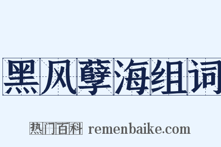 黑风孽海组词是什么意思的图片